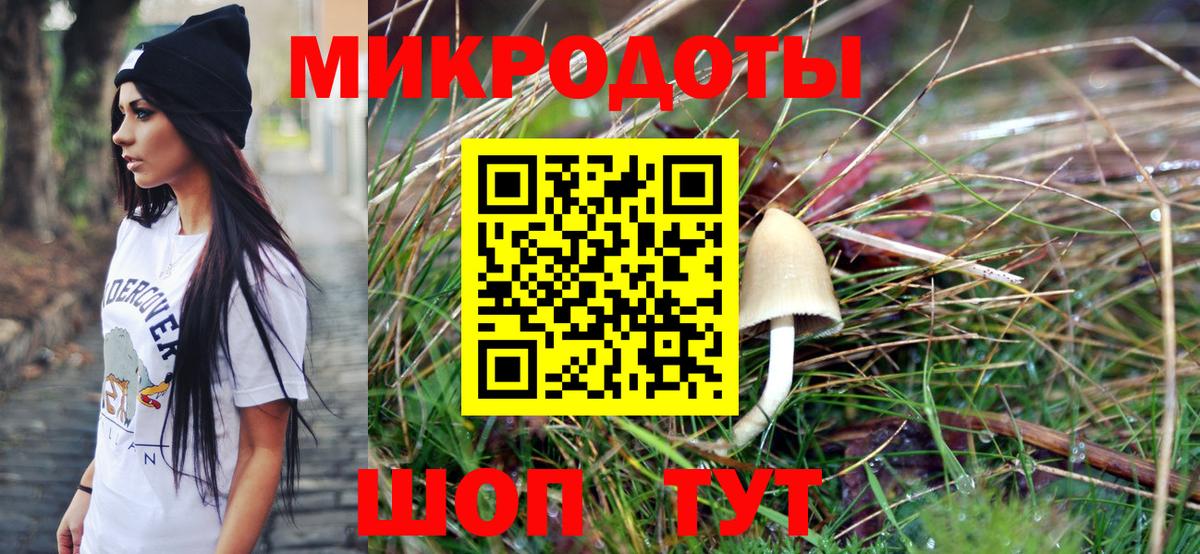 Волжск  Галлюциногенные грибы Psilocybe  Вход с VPN 